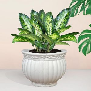 Heart Home Kanha Matki Flower Pot | Flower Planter Pots for Indoor | Flower Pots for Outdoor